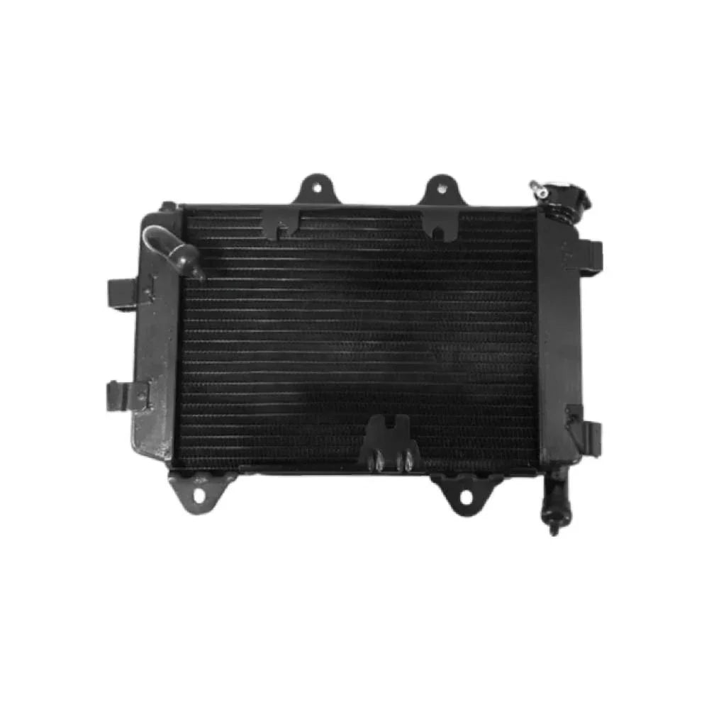 Radiador Dominar 250 Bajaj Original - BAJAJ - refacciones, llantas y aceites para moto