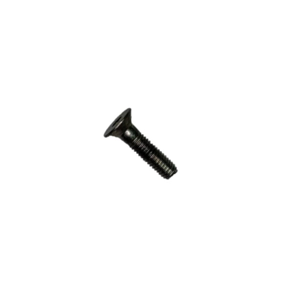 Tornillo Cromado de Parabrisas (5X20) Pulsar 200 NS Bajaj Original