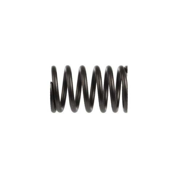 Resorte Externo de Valvula Bit 150 - Cs 125 - D125 Italika Original