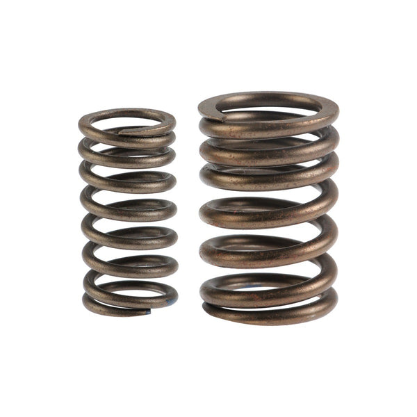 CONJUNTO RESORTE DE VALVULAS V200