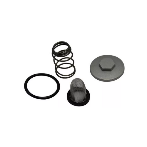 TORNILLO DRENADO CON CEDAZO Y RESORTE CS125/ WS150/ DS125