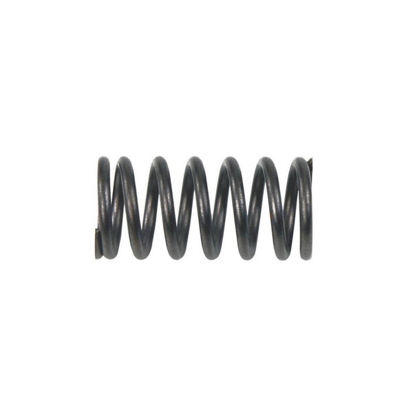 Resorte de Embrague 125Z - 150SZ - 150Z - 170Z - Dm 150 Italika Original