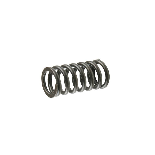 Resorte de Embrague Dt 150/200 Sport - Ft 180 Italika Original