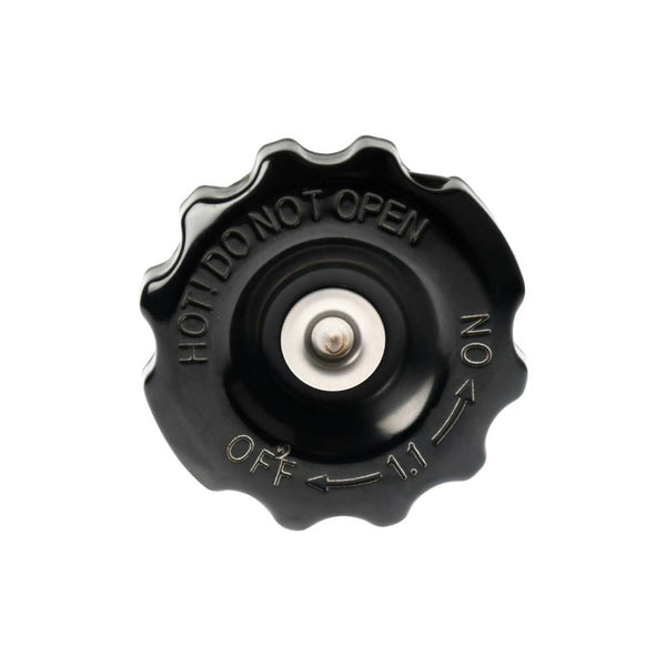 Tapon de Radiador Vort-X 300/R Italika Original