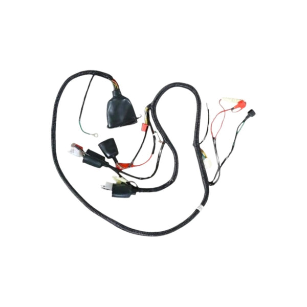 Arnes Principal Gs 150 - Gt 175 Italika Original