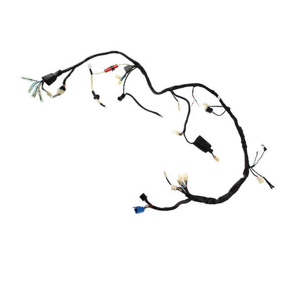 Arnes Principal Rt 200 GP Italika Original