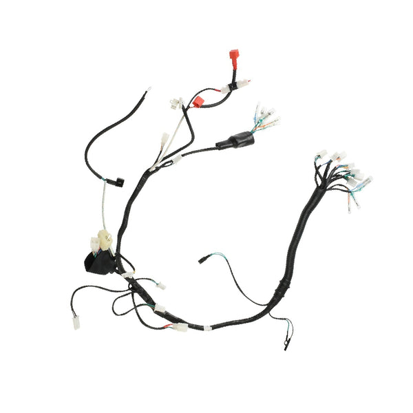 Arnes Principal Dt 150 Sport (2021-24) - Ft 150 Gts (2023-24) Italika Original