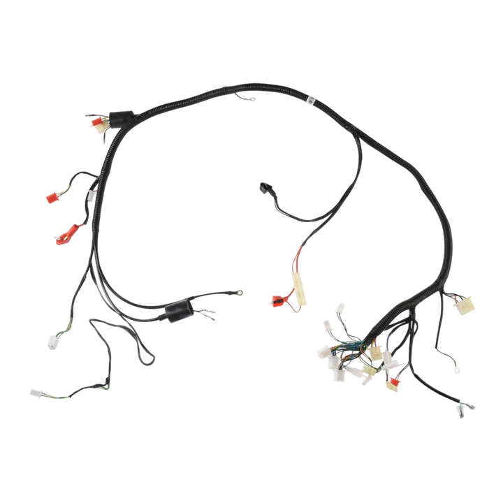 ARNES PRINCIPAL WS150 SPORT (22-23)