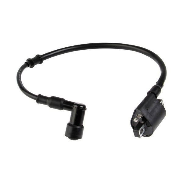 Bobina de Encendido 125FL - 125Z - Dt 125/150 Italika Original