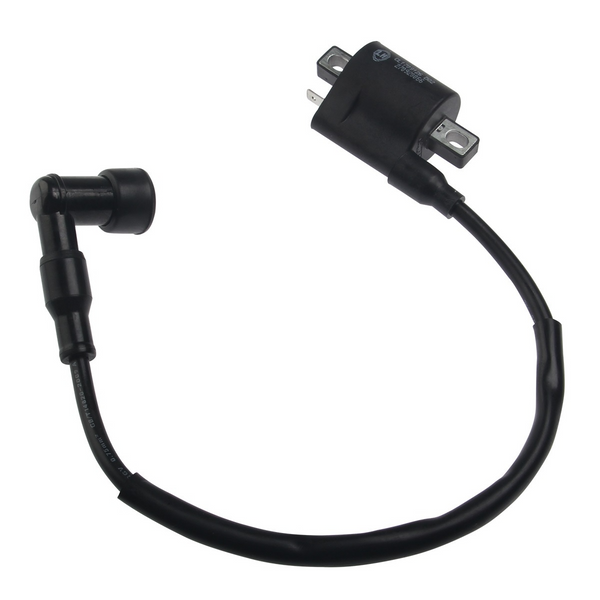 BOBINA DE IGNICION RT200 SPITZER/ AR110