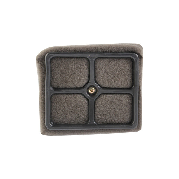 Filtro de Aire Dm 125 (2017-21) Italika Original