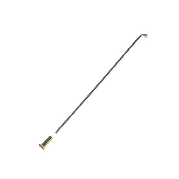 Rayo Externo de Rueda Delantera Dt 110 Delivery Italika Original